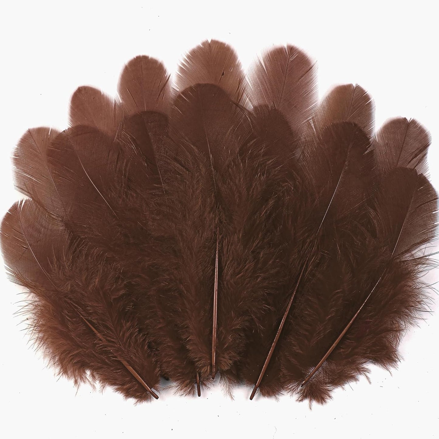 Yellow Craft Feathers Bulk for Crafting Supplies,300Pcs,3-5inch | Natural Rooster Feathers for DIY School Crafts,Dream Catcher,Halloween,Easter,Mardi Gras and Thanksgiving Home Party Decor