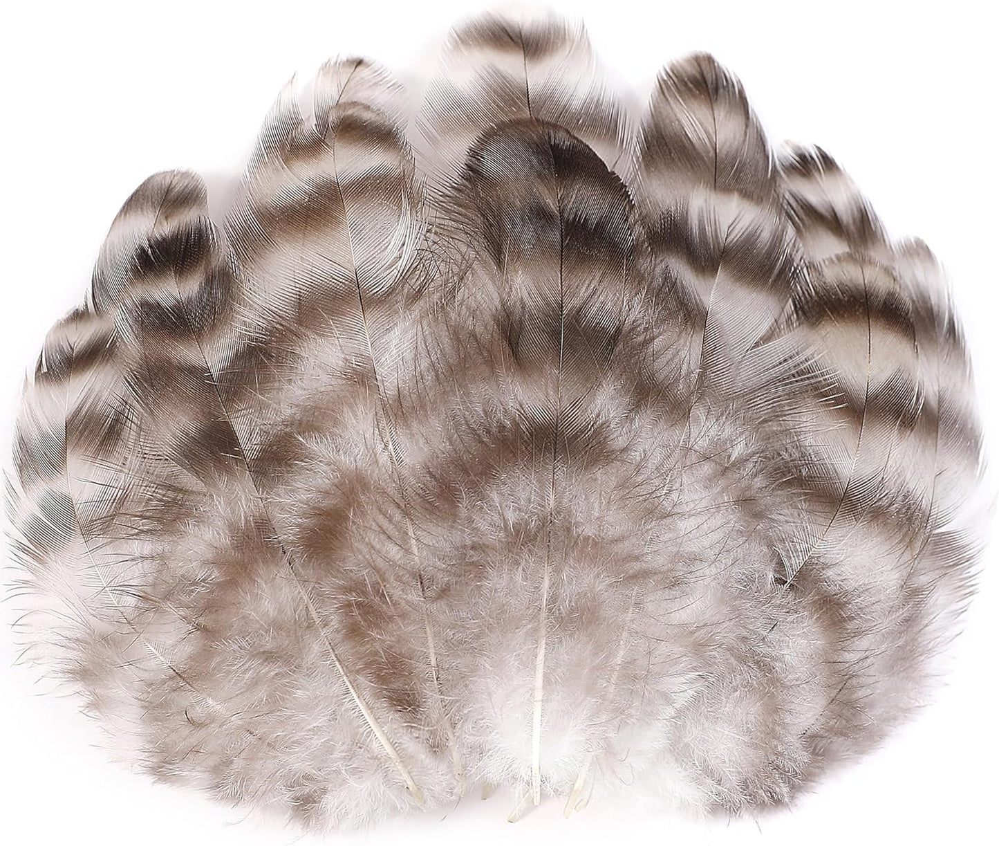 Yellow Craft Feathers Bulk for Crafting Supplies,300Pcs,3-5inch | Natural Rooster Feathers for DIY School Crafts,Dream Catcher,Halloween,Easter,Mardi Gras and Thanksgiving Home Party Decor