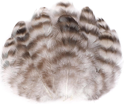 Yellow Craft Feathers Bulk for Crafting Supplies,300Pcs,3-5inch | Natural Rooster Feathers for DIY School Crafts,Dream Catcher,Halloween,Easter,Mardi Gras and Thanksgiving Home Party Decor