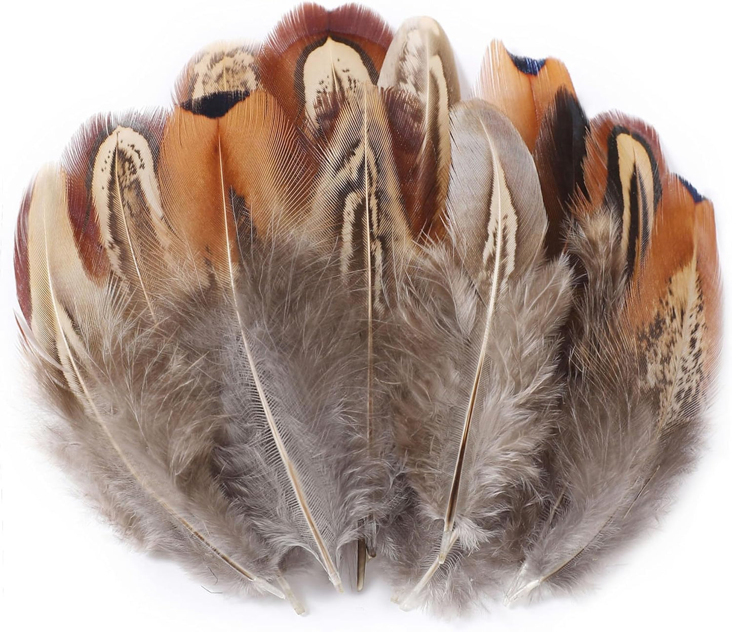 Yellow Craft Feathers Bulk for Crafting Supplies,300Pcs,3-5inch | Natural Rooster Feathers for DIY School Crafts,Dream Catcher,Halloween,Easter,Mardi Gras and Thanksgiving Home Party Decor