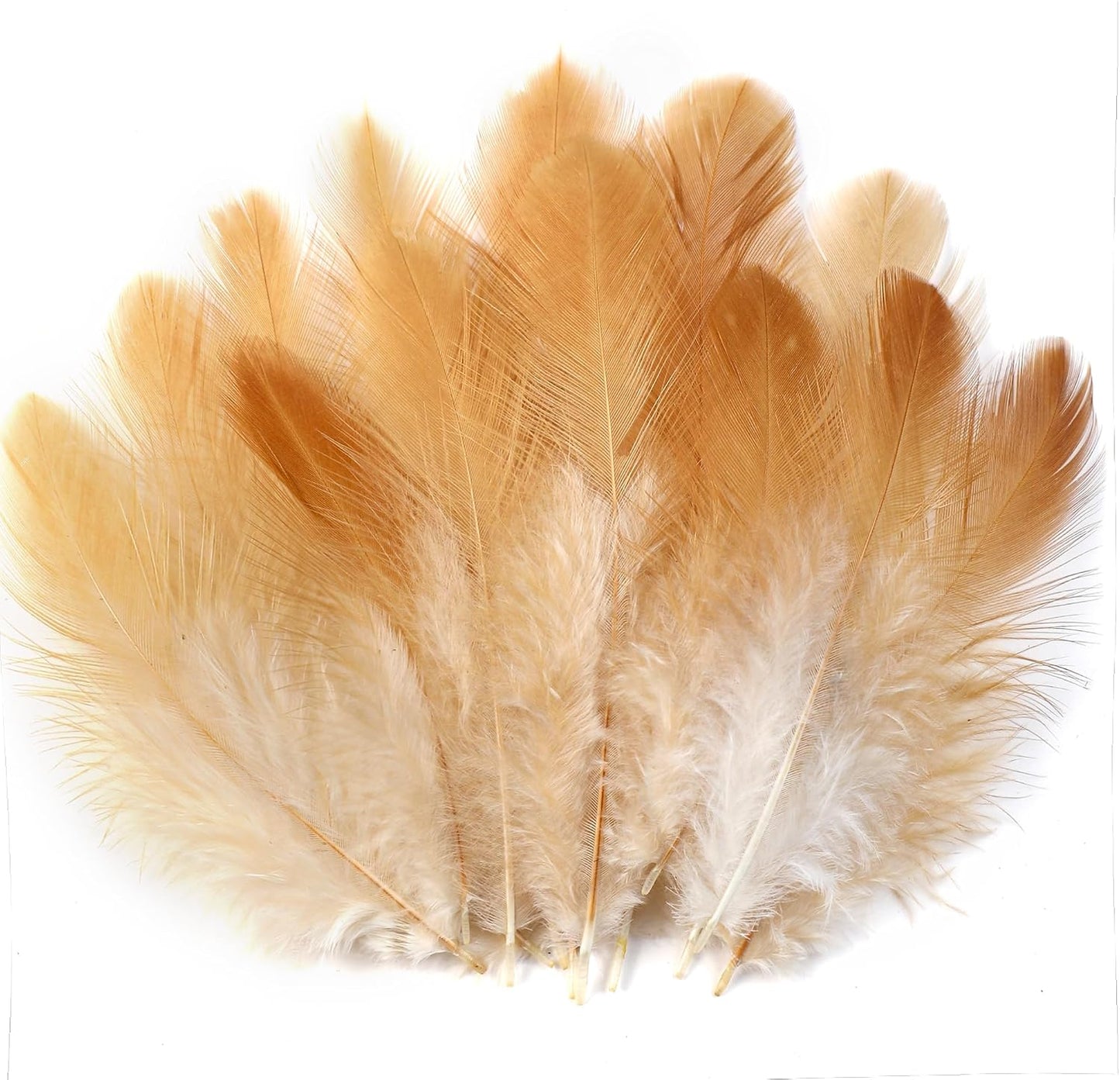 Yellow Craft Feathers Bulk for Crafting Supplies,300Pcs,3-5inch | Natural Rooster Feathers for DIY School Crafts,Dream Catcher,Halloween,Easter,Mardi Gras and Thanksgiving Home Party Decor