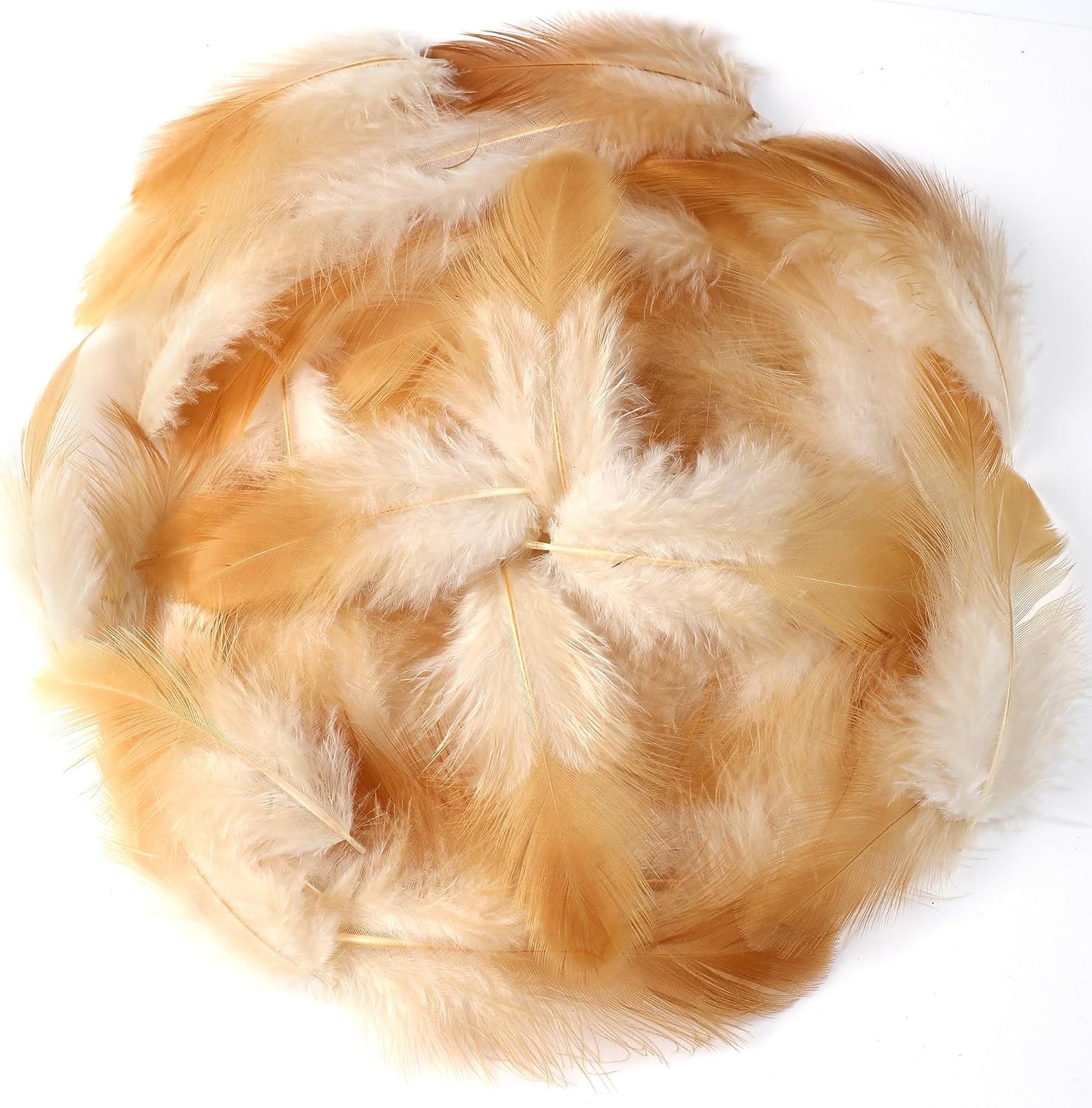 Yellow Craft Feathers Bulk for Crafting Supplies,300Pcs,3-5inch | Natural Rooster Feathers for DIY School Crafts,Dream Catcher,Halloween,Easter,Mardi Gras and Thanksgiving Home Party Decor