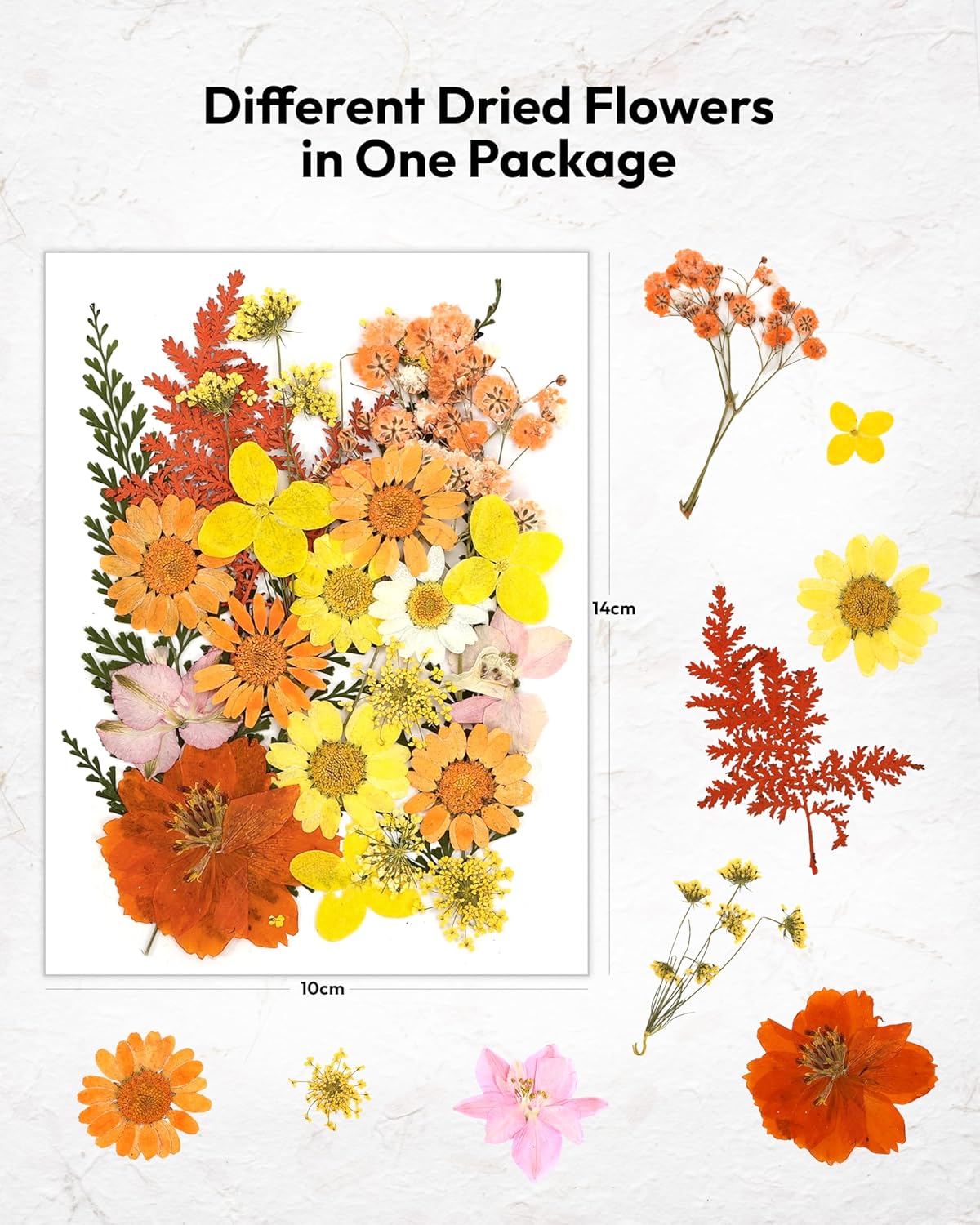 Dried Flowers, 100Pcs Pressed Flowers for Craft Yellow Real Natural Dried Flowers Dry Leaves Kit for DIY Making Crafts Resin Soap Candle Scrapbook Supplies Card Making Jewelry
