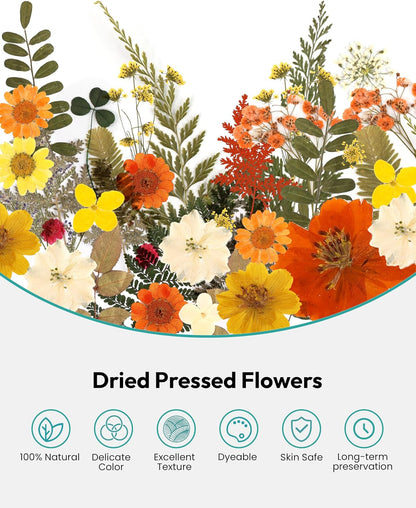 Dried Flowers, 100Pcs Pressed Flowers for Craft Yellow Real Natural Dried Flowers Dry Leaves Kit for DIY Making Crafts Resin Soap Candle Scrapbook Supplies Card Making Jewelry