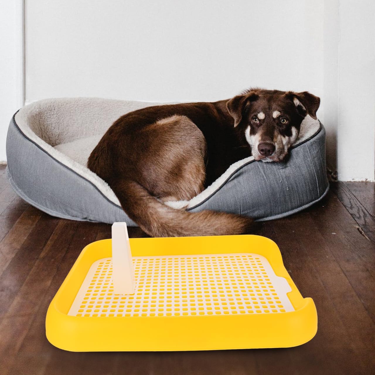 Dog Litter Box Mesh Training Toilet Potty Tray for Puppy and Small Size Dog Indoor Dogs Potty Training Pads Holder for Small and Medium Dogs Pee Pad Holder