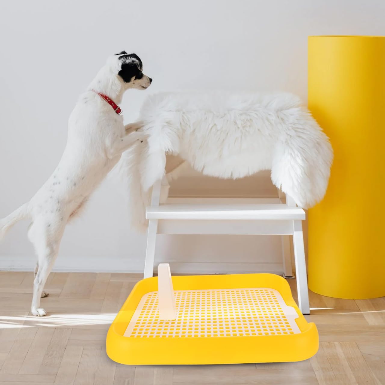 Dog Litter Box Mesh Training Toilet Potty Tray for Puppy and Small Size Dog Indoor Dogs Potty Training Pads Holder for Small and Medium Dogs Pee Pad Holder