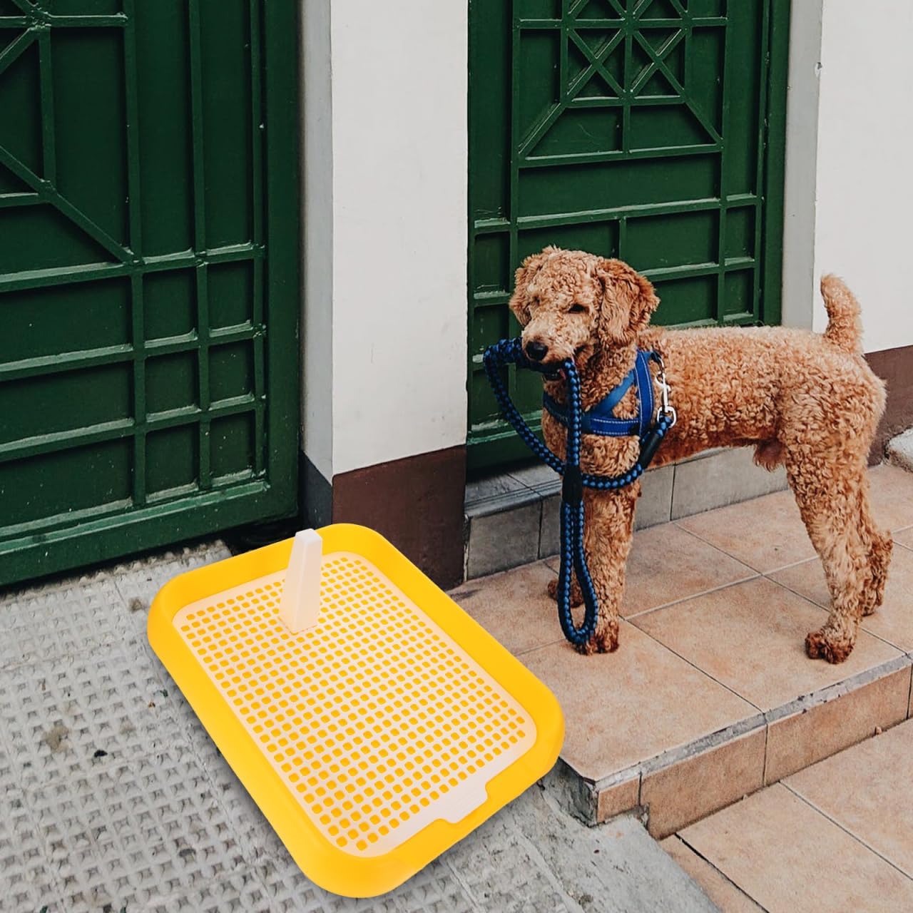 Dog Litter Box Mesh Training Toilet Potty Tray for Puppy and Small Size Dog Indoor Dogs Potty Training Pads Holder for Small and Medium Dogs Pee Pad Holder