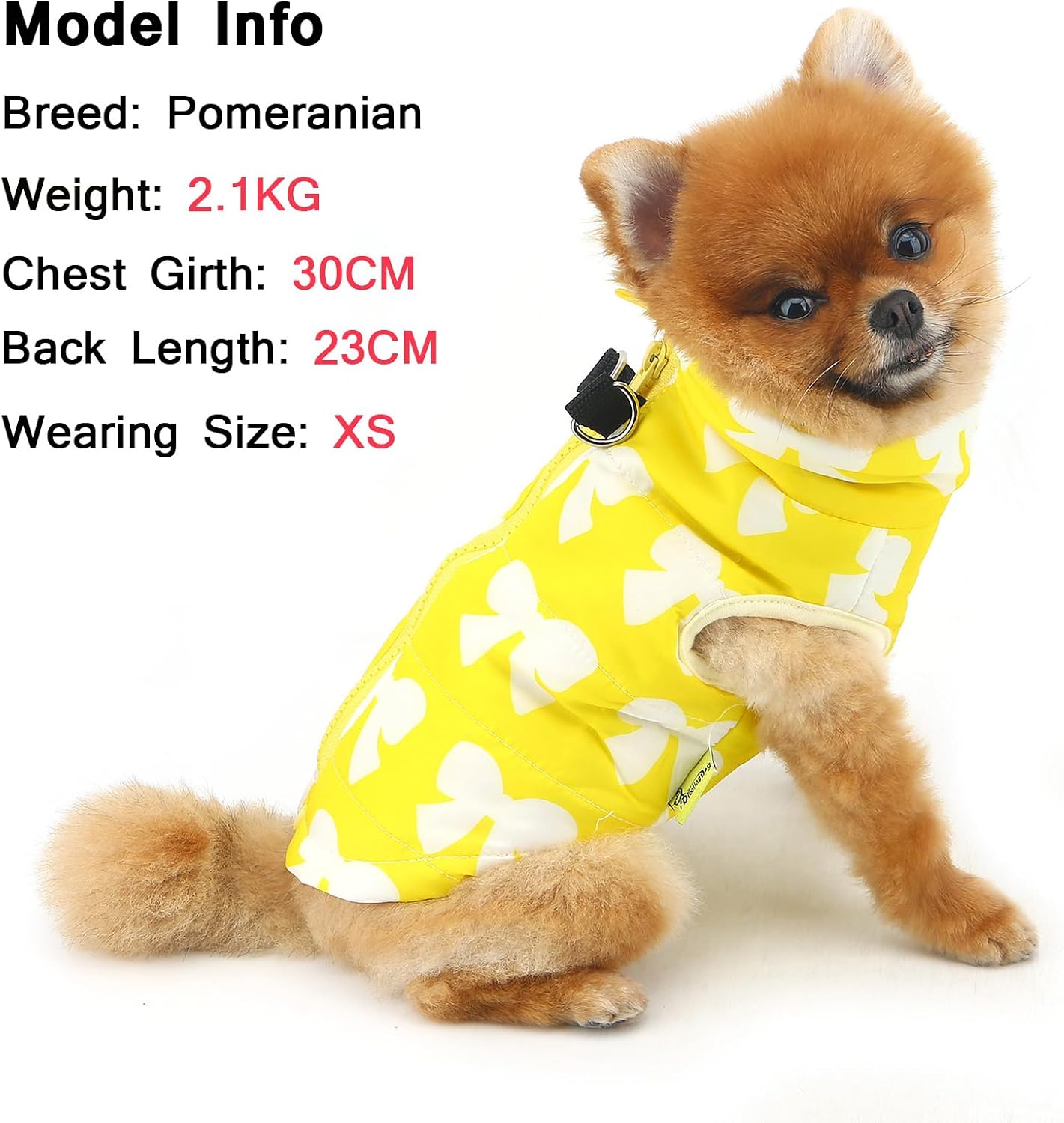 SMALLLEE_LUCKY_STORE Dog Coat with D-Ring for Small Dogs, Yellow, XS | Bow Print, Water-resistant Shell, Padded Warmth, Zip-up Fit, Winter Walks, Chihuahua, Yorkie, Small Dog Harness Jacket