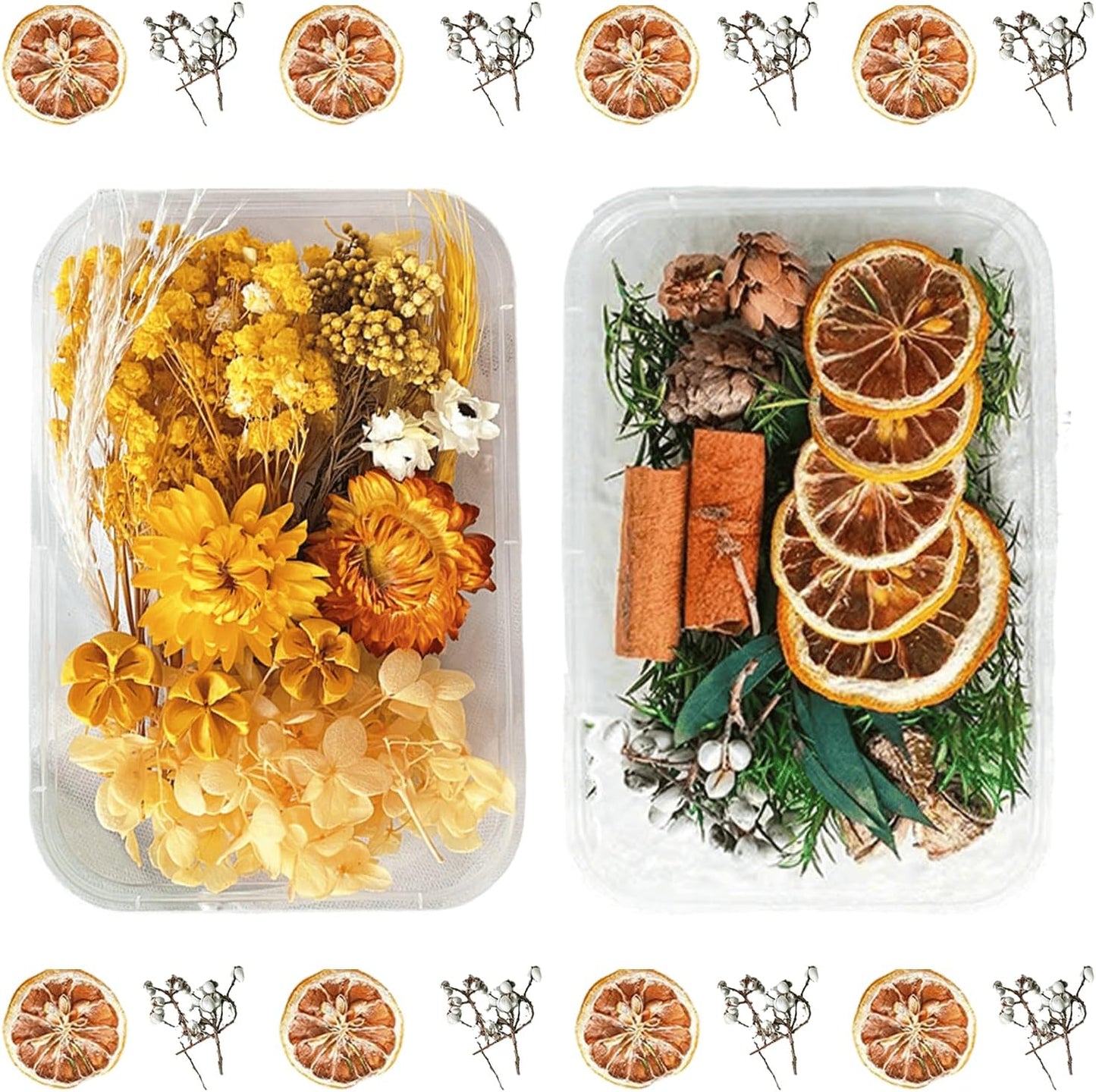 2PCS Dried Flowers Kit, Natural Dried Flowers Kit for DIY Crafts, Scrapbook, Card Making (Style6_10)