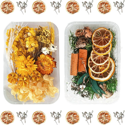 2PCS Dried Flowers Kit, Natural Dried Flowers Kit for DIY Crafts, Scrapbook, Card Making (Style6_10)