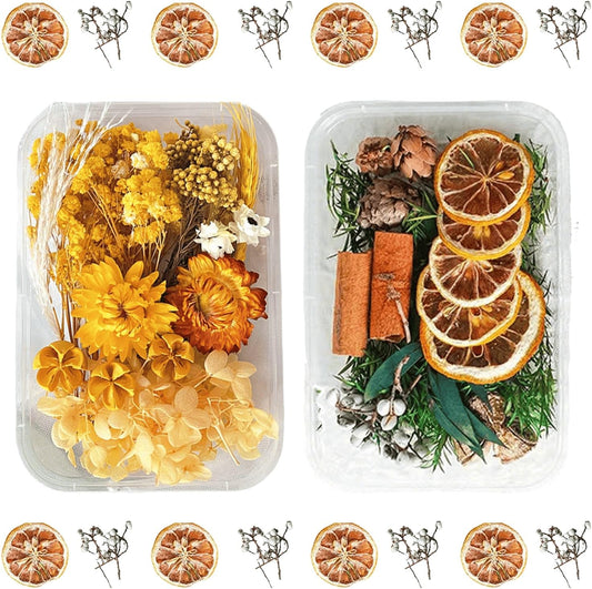 2PCS Dried Flowers Kit, Natural Dried Flowers Kit for DIY Crafts, Scrapbook, Card Making (Style6_10)
