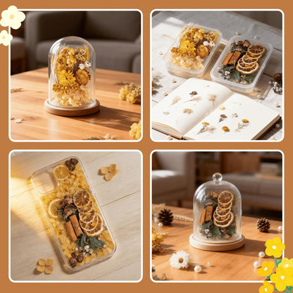 2PCS Dried Flowers Kit, Natural Dried Flowers Kit for DIY Crafts, Scrapbook, Card Making (Style6_10)