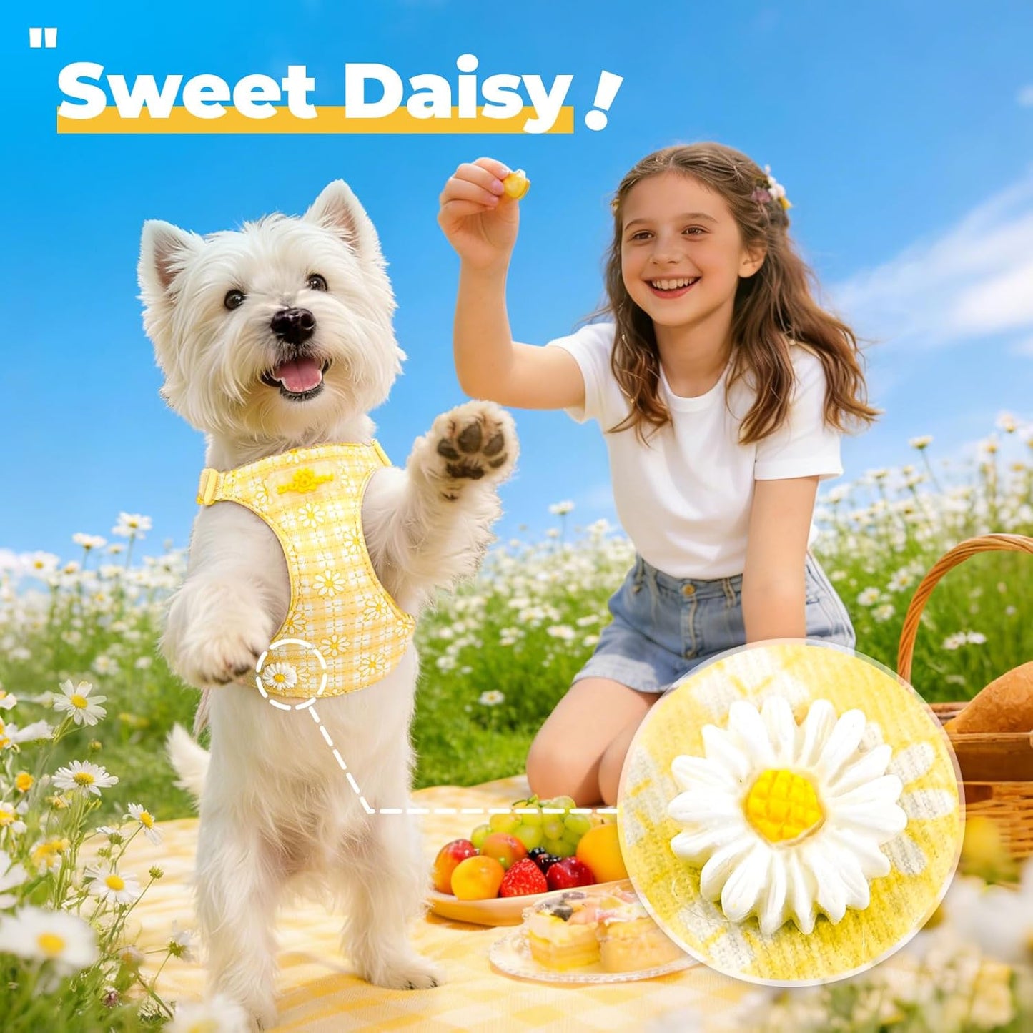 Cute Small Dog Harness and Leash Set Yellow Floral Daisy Puppy Harness Vest Adjustable Step in Spring Summer Soft Mesh Flower Girl Dog Harnesses for Chihuahua Yorkie Pomeranian Shih Tzu, M