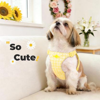 Cute Small Dog Harness and Leash Set Yellow Floral Daisy Puppy Harness Vest Adjustable Step in Spring Summer Soft Mesh Flower Girl Dog Harnesses for Chihuahua Yorkie Pomeranian Shih Tzu, M