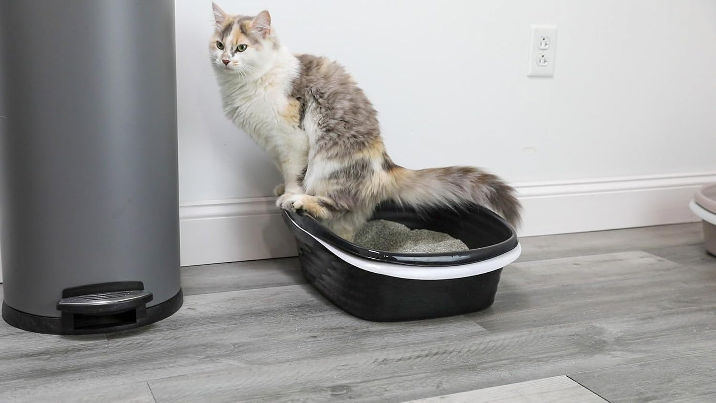 Large Sifting Litter Box Scoop Free Cat Litter Tray with Microban, Made in USA | Antimicrobial product protection, ideal for indoor felines, simple lift, shake and pour cleanup, helps keep odors in check