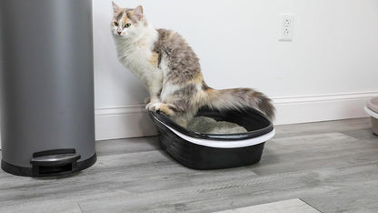 Large Sifting Litter Box Scoop Free Cat Litter Tray with Microban, Made in USA | Antimicrobial product protection, ideal for indoor felines, simple lift, shake and pour cleanup, helps keep odors in check
