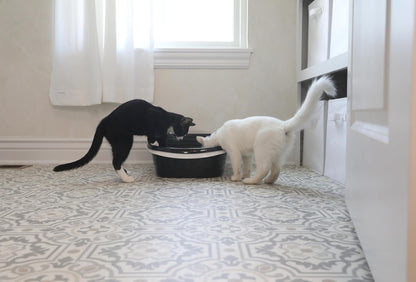 Large Sifting Litter Box Scoop Free Cat Litter Tray with Microban, Made in USA | Antimicrobial product protection, ideal for indoor felines, simple lift, shake and pour cleanup, helps keep odors in check