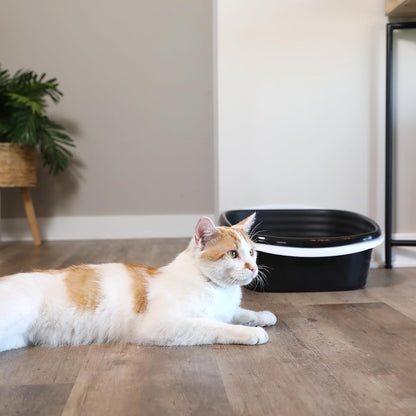 Large Sifting Litter Box Scoop Free Cat Litter Tray with Microban, Made in USA | Antimicrobial product protection, ideal for indoor felines, simple lift, shake and pour cleanup, helps keep odors in check