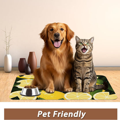Black Cat Funny Dog Food Mat for Floors,Lemon Absorbent Pet Food and Water Bowl Mats,Non-Slip Pet Feeding Mat,Pet Supplies 16" x 24"