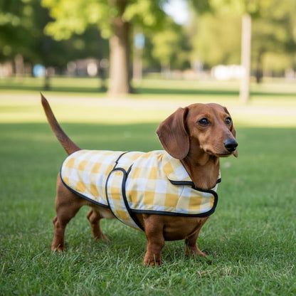 Dachshund Raincoat Corgi Raincoat Dogs Waterproof fit for Dachshunds Weiner Long Back Breeds with Reflective Stripe Great Coverage in Autumn Winter - Yellow Plaid - M