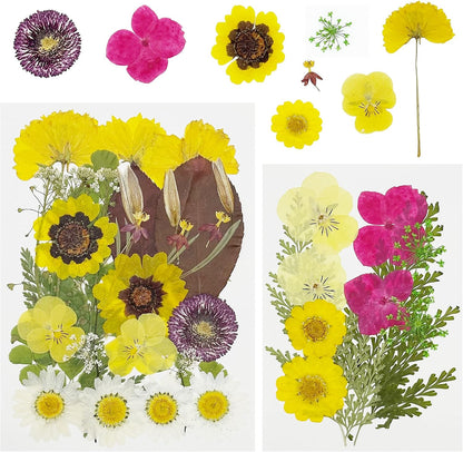 40 PCS Natural Dried Pressed Flowers, Yellow Natural Dried Pressed Leaves, Natural Dry Flowers Leaves for Pressed Leaf Art Craft DIY Embellishment Decoration