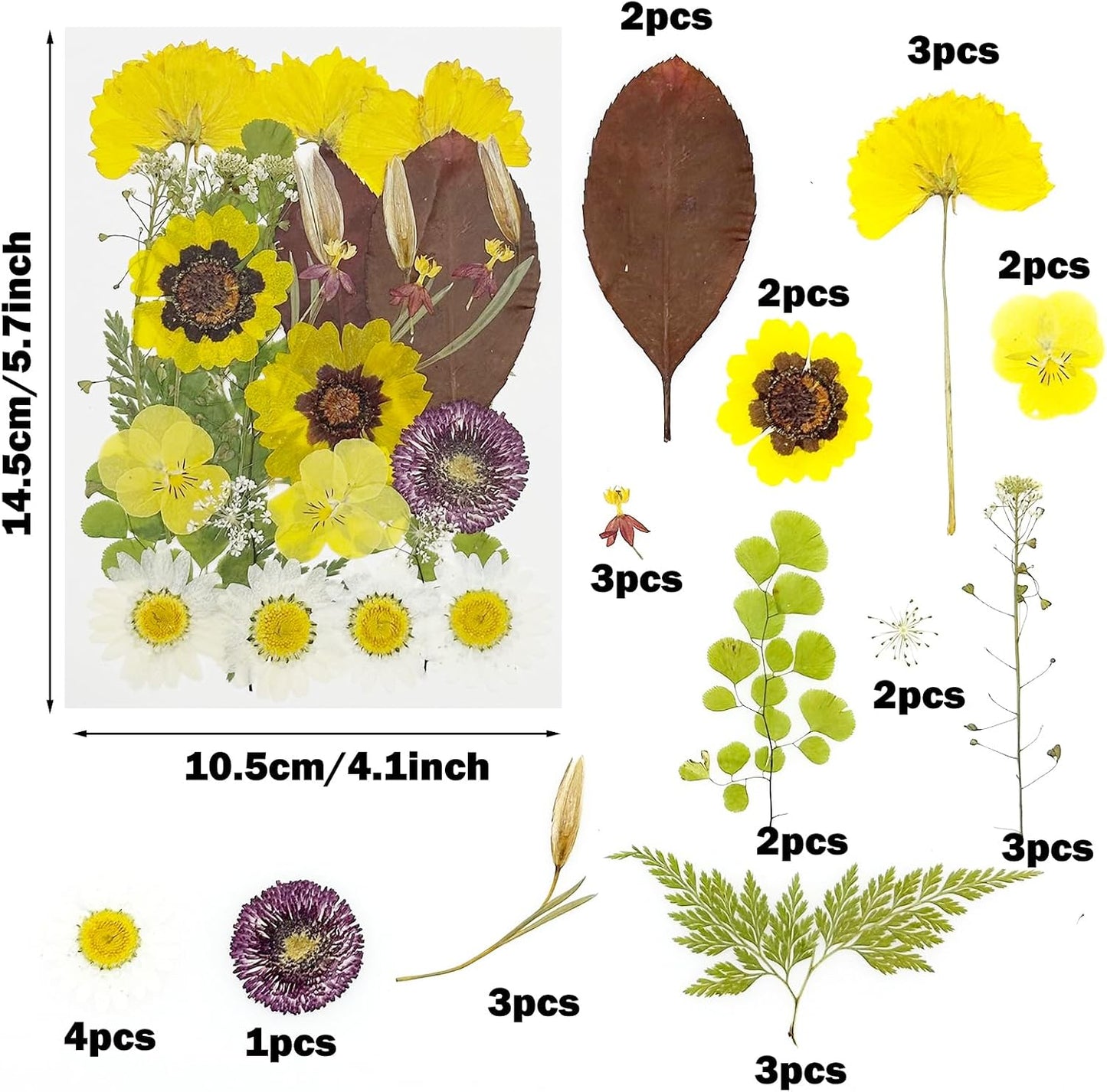 40 PCS Natural Dried Pressed Flowers, Yellow Natural Dried Pressed Leaves, Natural Dry Flowers Leaves for Pressed Leaf Art Craft DIY Embellishment Decoration