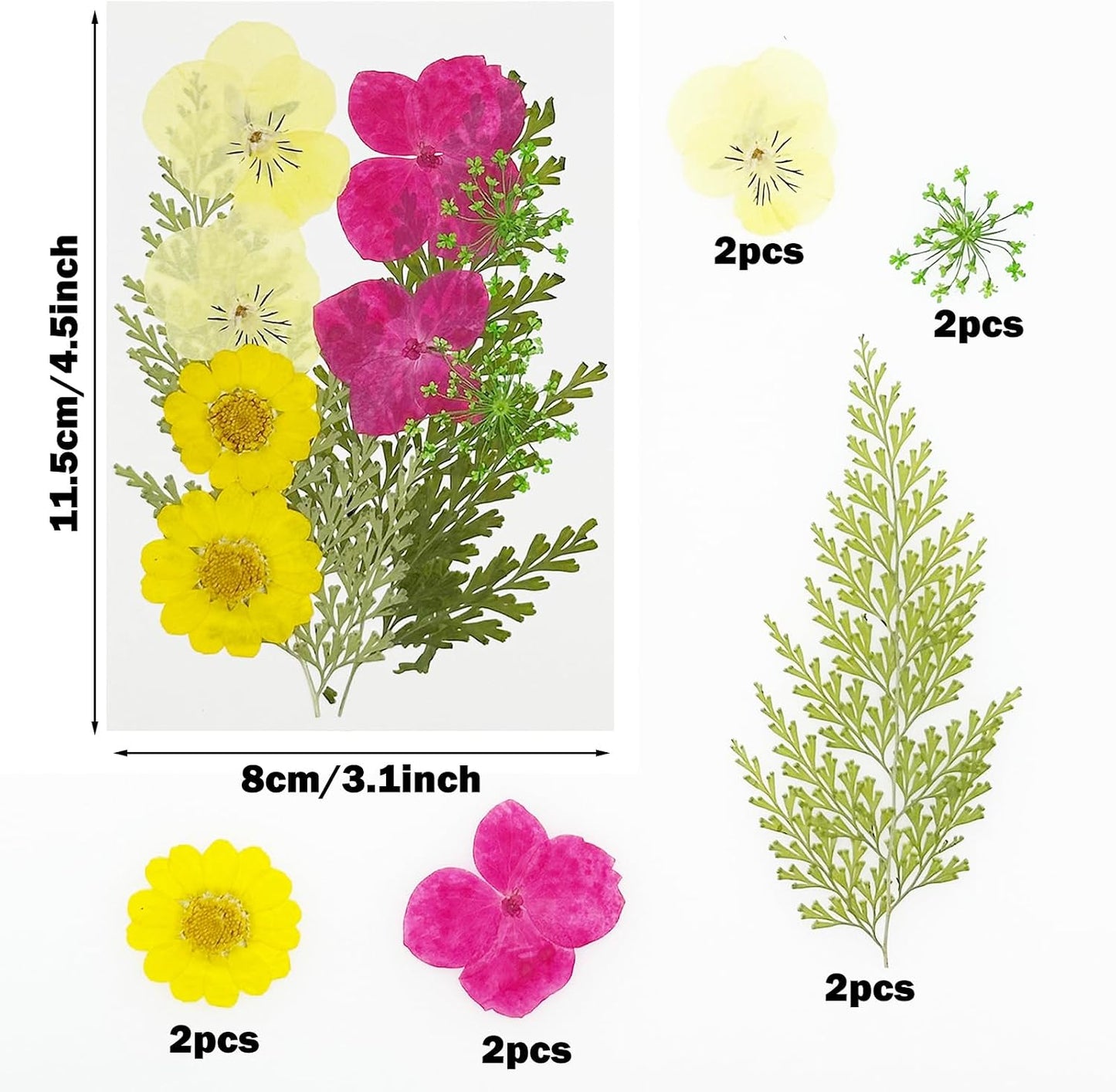 40 PCS Natural Dried Pressed Flowers, Yellow Natural Dried Pressed Leaves, Natural Dry Flowers Leaves for Pressed Leaf Art Craft DIY Embellishment Decoration