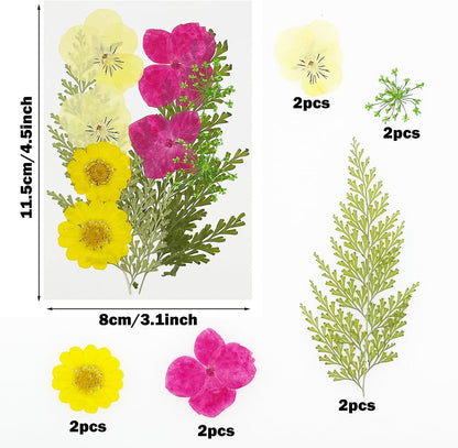 40 PCS Natural Dried Pressed Flowers, Yellow Natural Dried Pressed Leaves, Natural Dry Flowers Leaves for Pressed Leaf Art Craft DIY Embellishment Decoration