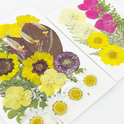 40 PCS Natural Dried Pressed Flowers, Yellow Natural Dried Pressed Leaves, Natural Dry Flowers Leaves for Pressed Leaf Art Craft DIY Embellishment Decoration