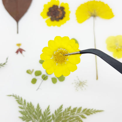 40 PCS Natural Dried Pressed Flowers, Yellow Natural Dried Pressed Leaves, Natural Dry Flowers Leaves for Pressed Leaf Art Craft DIY Embellishment Decoration