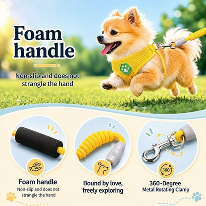 Dog Harness Small Sized and Leash Set, Step in Soft Light Puppy Vest, Breathable Mesh Pet Harness, Adjustable Pet Puppy Harness, Easy Walk Dog Harness, M: Chest 11.8-17.7"