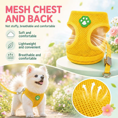 Dog Harness Small Sized and Leash Set, Step in Soft Light Puppy Vest, Breathable Mesh Pet Harness, Adjustable Pet Puppy Harness, Easy Walk Dog Harness, M: Chest 11.8-17.7"