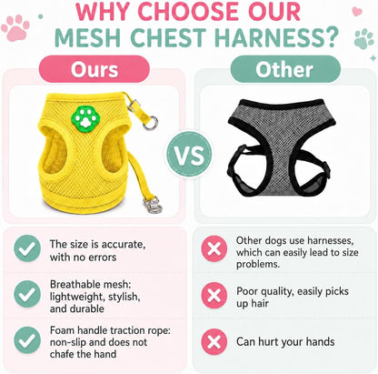 Dog Harness Small Sized and Leash Set, Step in Soft Light Puppy Vest, Breathable Mesh Pet Harness, Adjustable Pet Puppy Harness, Easy Walk Dog Harness, M: Chest 11.8-17.7"