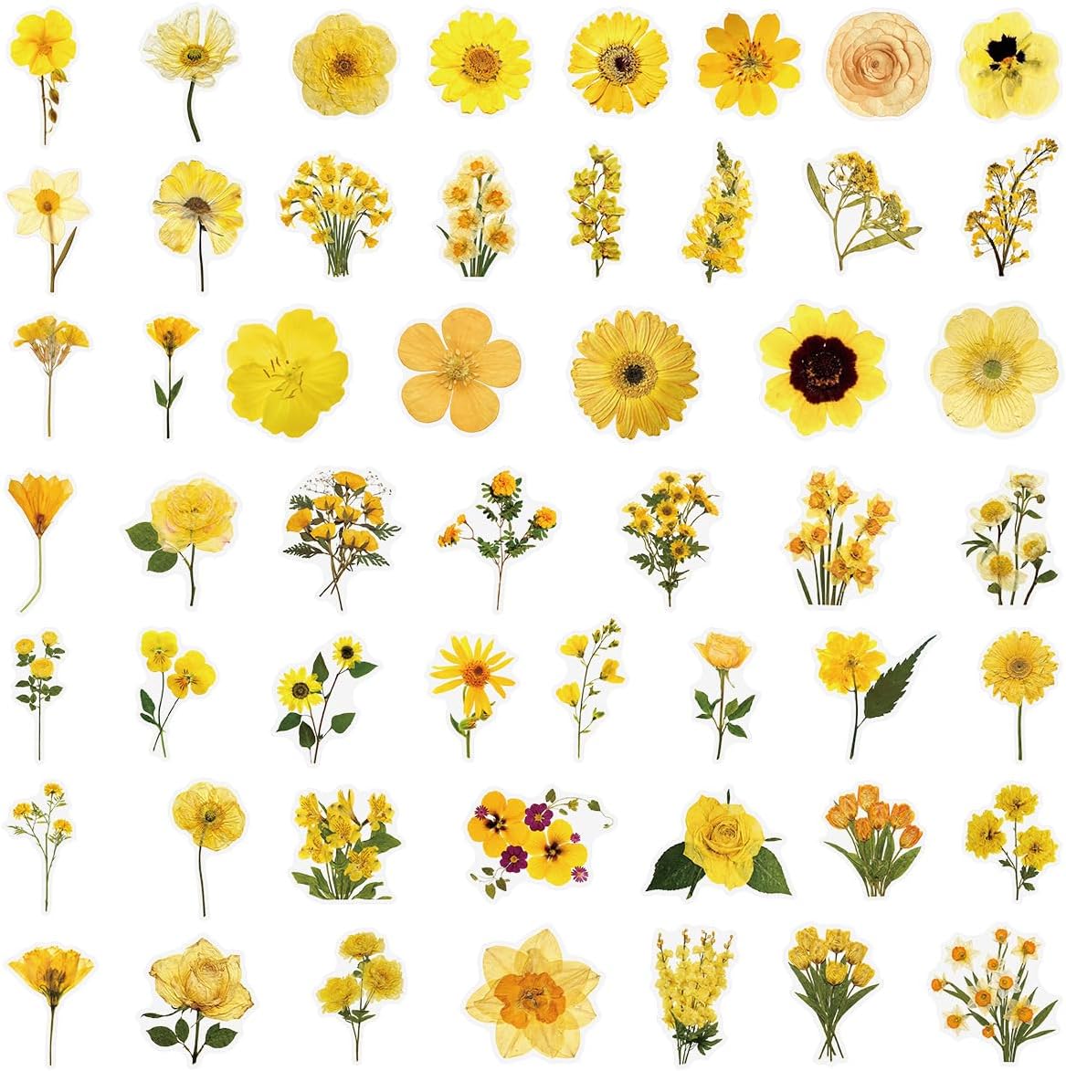 Pressed Flower Stickers 50-Pack, Transparent Yellow Waterproof Decals for Phone Case, Laptop, Water Bottle, Journal, Luggage - Aesthetic Dried Flower Vinyl Stickers for DIY & Scrapbooking