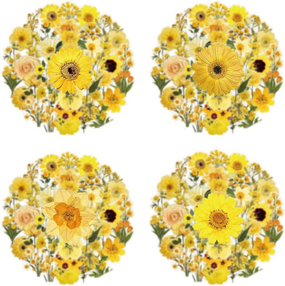 Pressed Flower Stickers 50-Pack, Transparent Yellow Waterproof Decals for Phone Case, Laptop, Water Bottle, Journal, Luggage - Aesthetic Dried Flower Vinyl Stickers for DIY & Scrapbooking