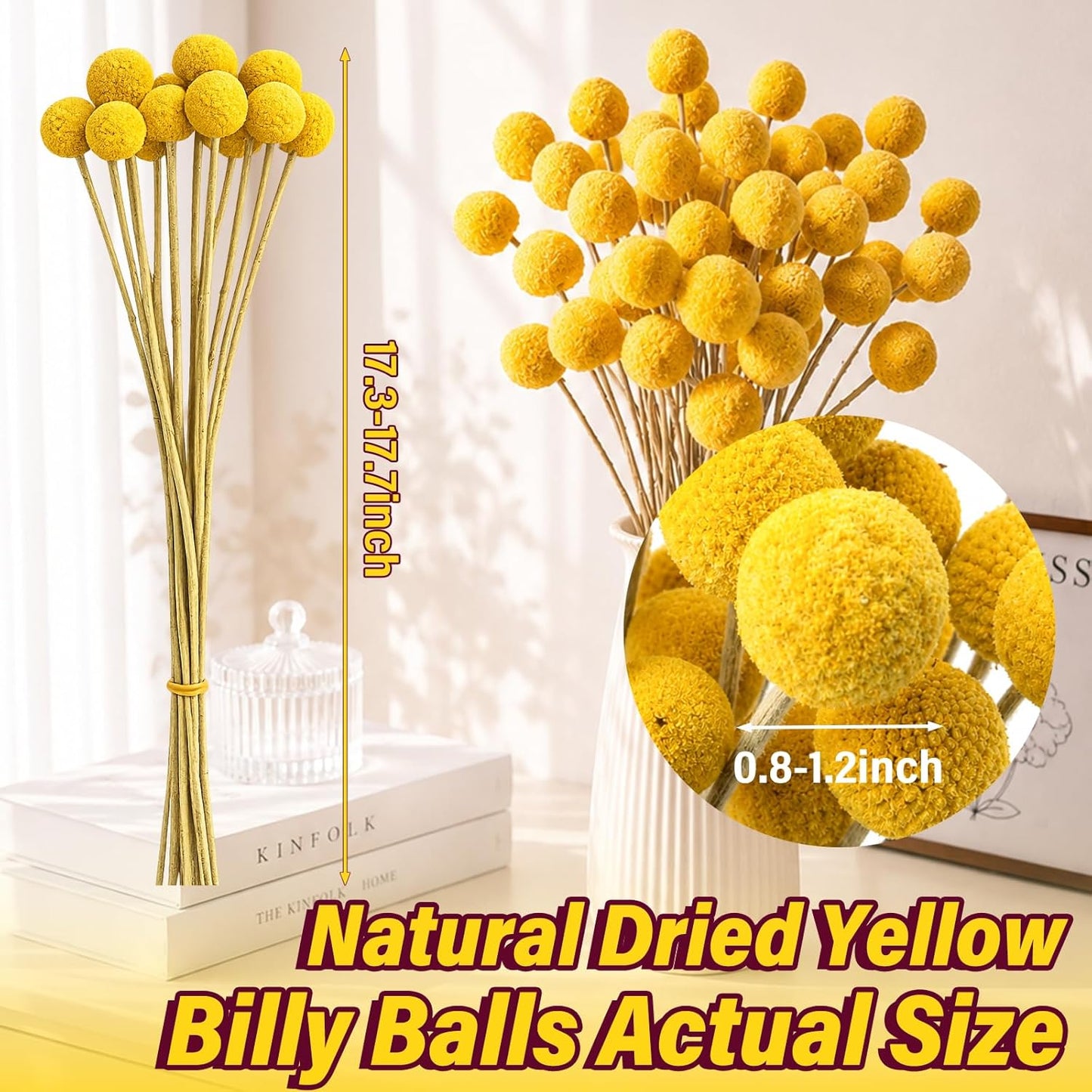 40pcs Dried Billy Balls Flowers for Wedding Decor & Floral Displays | Golden Spherical Blooms Add Rustic Texture and Visual Interest to Bouquets, Centerpieces, Home Accents and Creative Projects