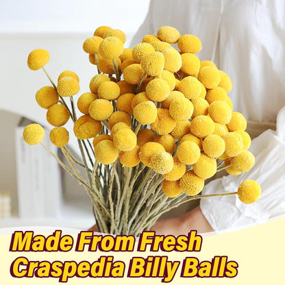 40pcs Dried Billy Balls Flowers for Wedding Decor & Floral Displays | Golden Spherical Blooms Add Rustic Texture and Visual Interest to Bouquets, Centerpieces, Home Accents and Creative Projects
