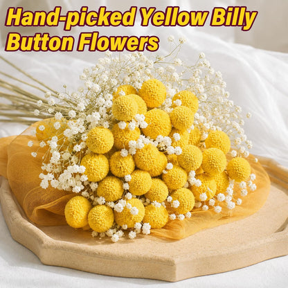 40pcs Dried Billy Balls Flowers for Wedding Decor & Floral Displays | Golden Spherical Blooms Add Rustic Texture and Visual Interest to Bouquets, Centerpieces, Home Accents and Creative Projects