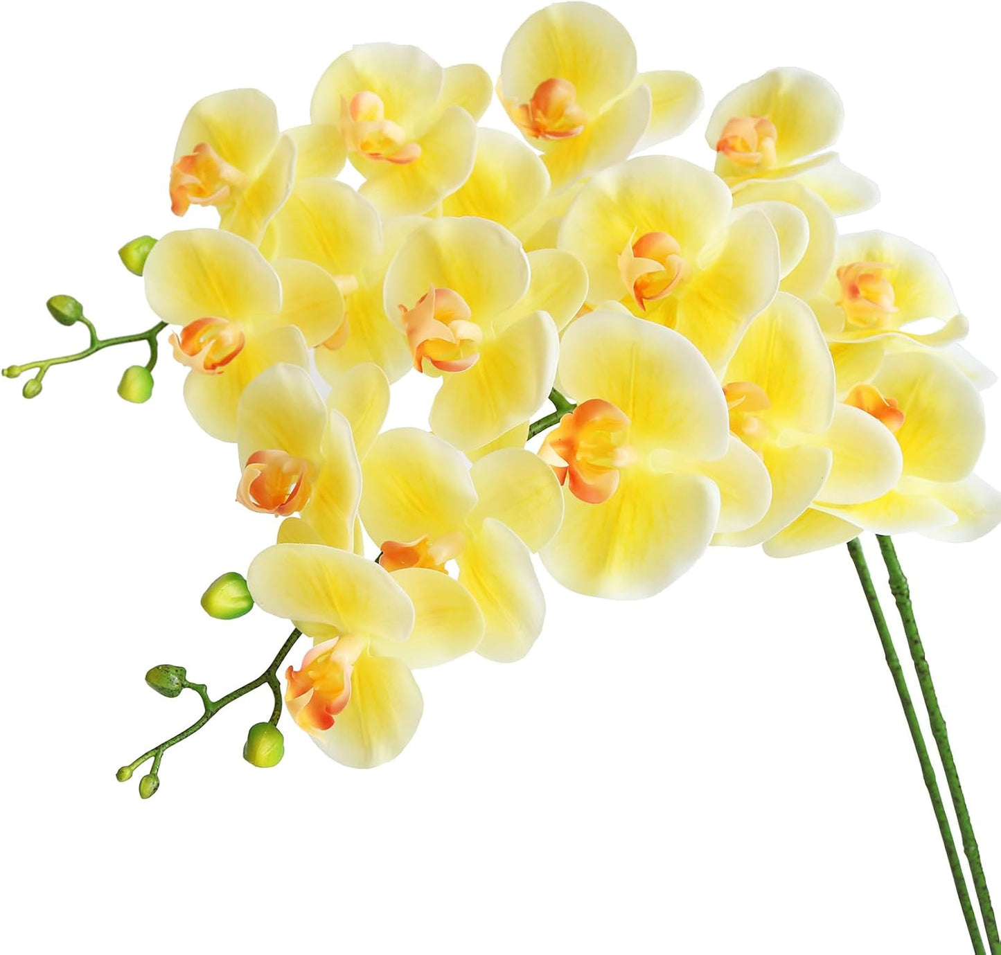 38 Inch Artificial Phalaenopsis Flowers Branches Real Touch (Not Silk) Orchids Flowers for Home Office Wedding Decoration,Pack of 2 (Light Yellow)