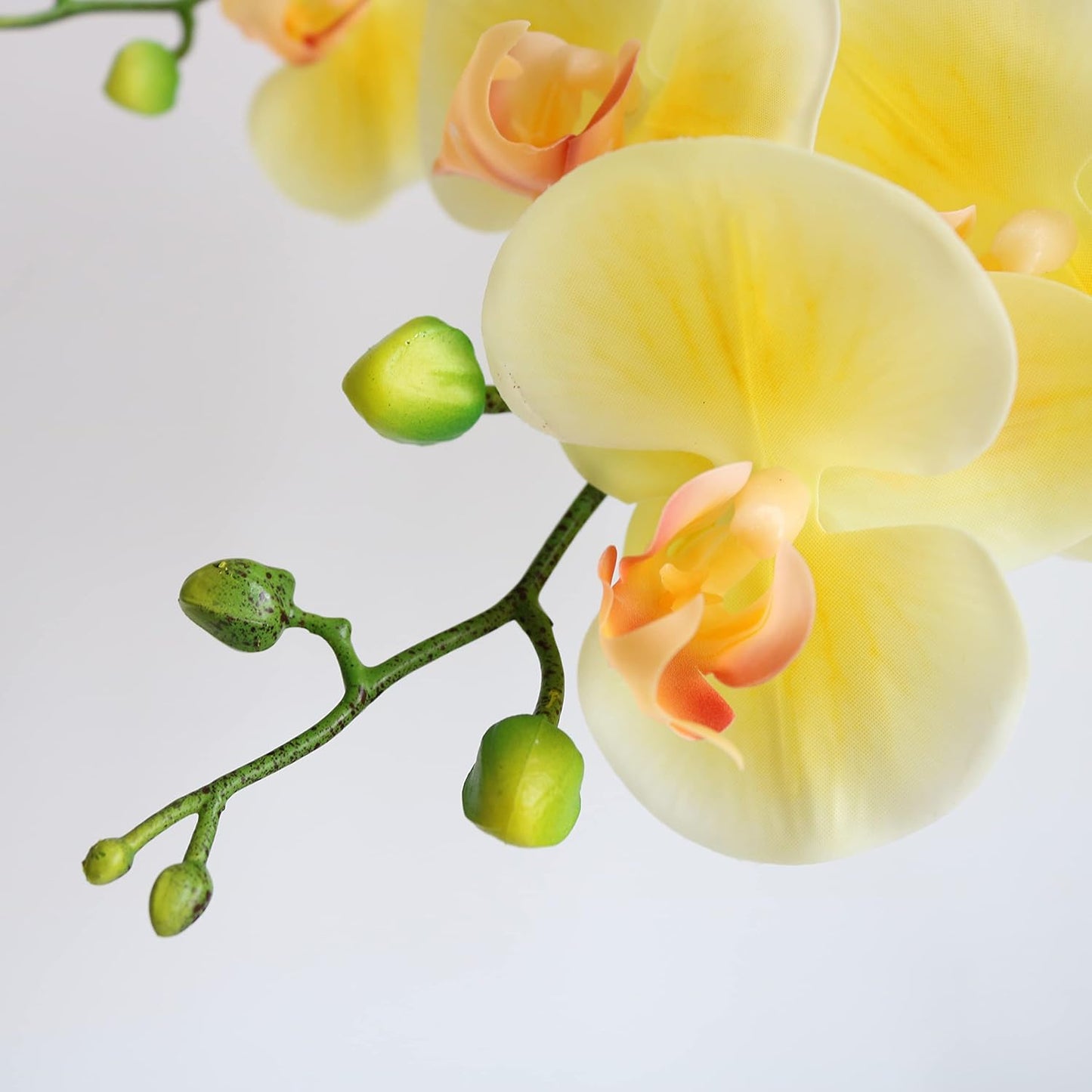 38 Inch Artificial Phalaenopsis Flowers Branches Real Touch (Not Silk) Orchids Flowers for Home Office Wedding Decoration,Pack of 2 (Light Yellow)