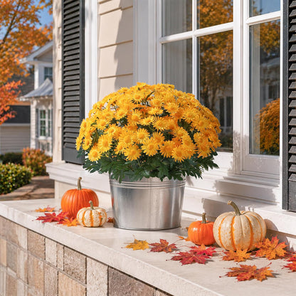 Artificial Fall Faux Mums Flowers Outdoor Plants for Decoration, 6 Bundles Fake Silk Yellow Gerbera Daisy Flowers UV Resistant Look Real for Planter Outside Front Door Porch Patio Balcony