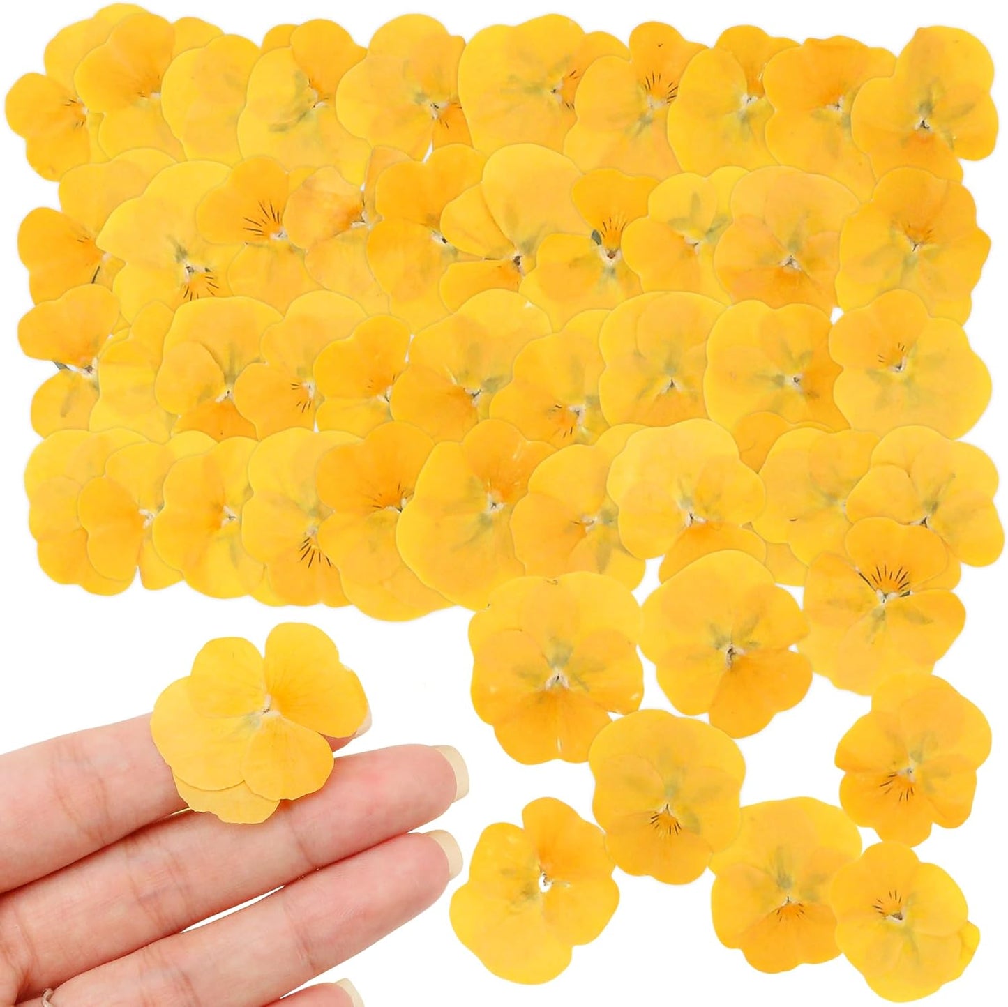 50Pcs Pressed Pansy Violet Flowers Real Dried for Resin Molds, Mixed Dry Flowers for Jewelry Candles Making, Scrapbooking Crafts, DIY Soap, Wedding Decoration Nails Decor (Yellow)