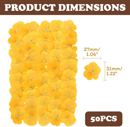 50Pcs Pressed Pansy Violet Flowers Real Dried for Resin Molds, Mixed Dry Flowers for Jewelry Candles Making, Scrapbooking Crafts, DIY Soap, Wedding Decoration Nails Decor (Yellow)