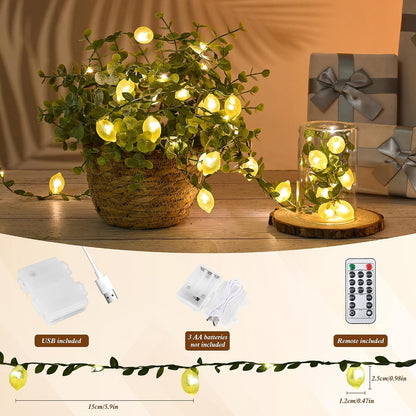 Lemon Decor String Lights, 10FT 40LEDs Lemon Decorative Fairy Lights, Battery Operated USB Plug in with Remote Timer for Bedroom Wedding Kitchen Garden Party Decorations