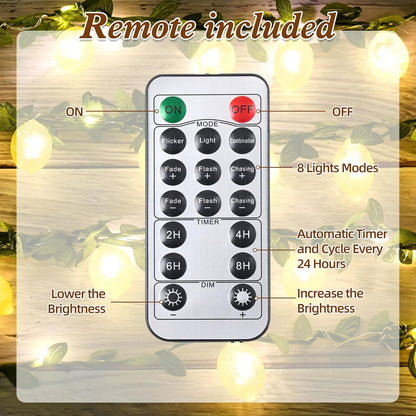 Lemon Decor String Lights, 10FT 40LEDs Lemon Decorative Fairy Lights, Battery Operated USB Plug in with Remote Timer for Bedroom Wedding Kitchen Garden Party Decorations