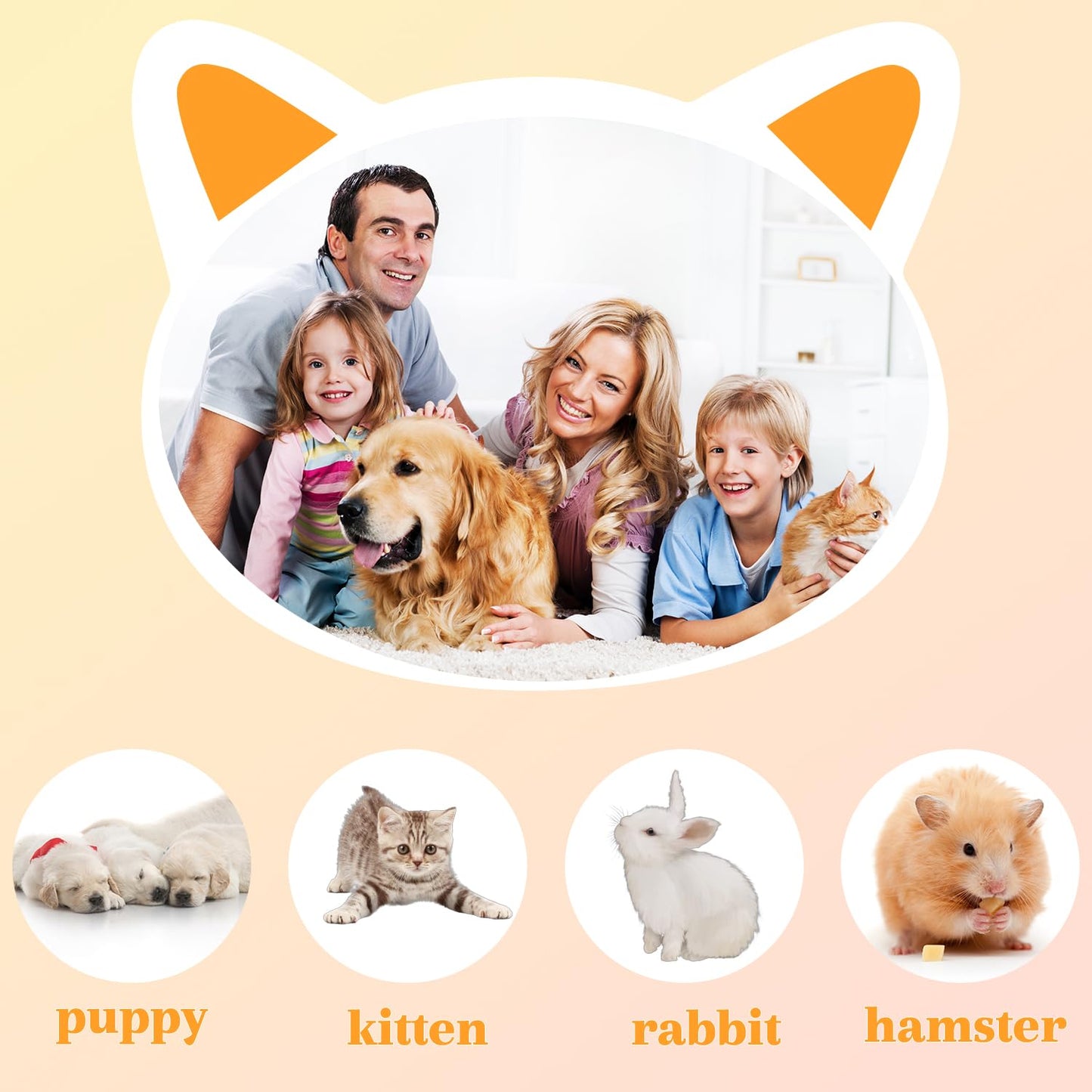 3 Pack Kitten Silicone Bottle Feeding Kit, Medium Flow, Yellow, 75ml, BPA Free, Anti-Colic, Dishwasher Safe