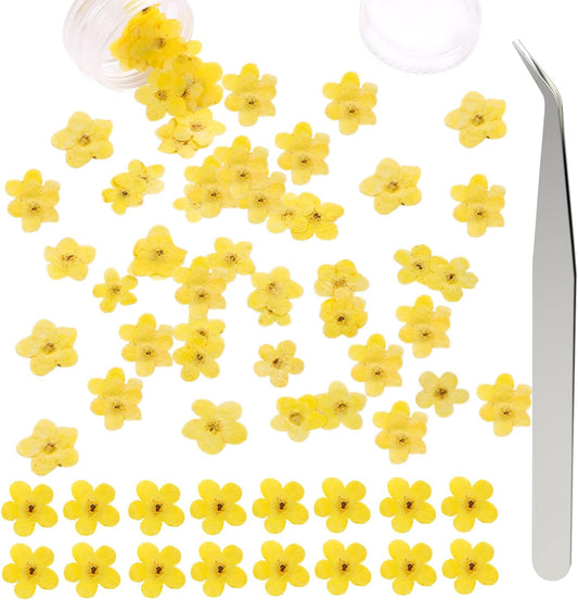 Forget Me Not Dried Flowers, 50Pcs Don't Forget Me Dried Flowers Natural Dried Pressed Flowers with Forceps for Resin Jewelry Making Candle Nail Art Flower Ornaments Paper Making Supplies