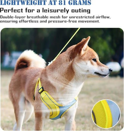 No Pull Dog Harness with Leash Set All Weather Soft Padded Mesh Reflective X Shape Adjustable Step in Vest Harness for Small and Medium Dogs Big Cat XS Yellow