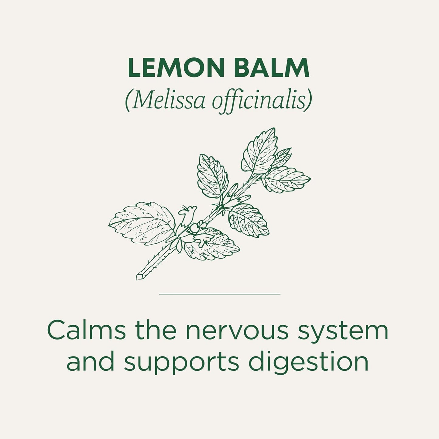 Organic, Lemon Balm - Supports Stress Relief & Digestive Health - Kosher, Non-GMO, Caffeine-Free, Compostable - 16 Tea Bags | Soothes the Digestive Tract & Promotes Respiratory Health, Kosher, Non-GMO, Caffeine-Free