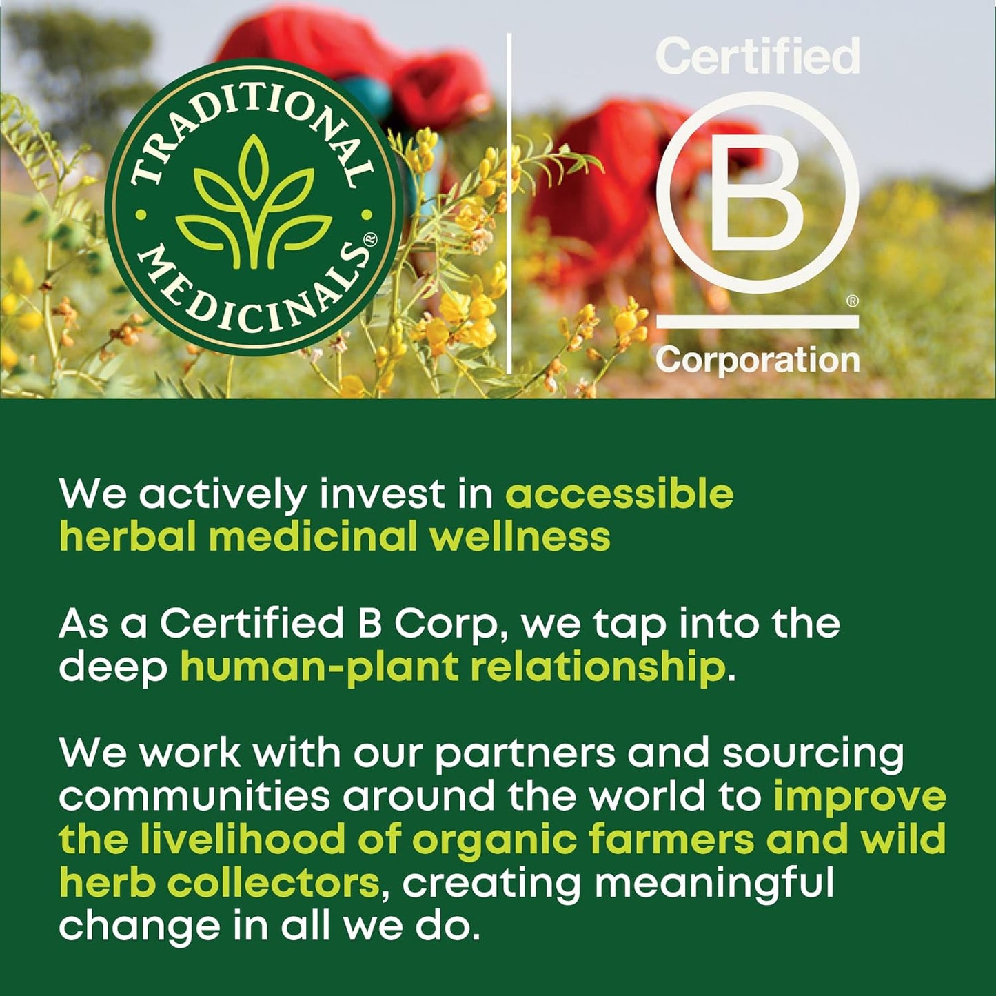 Organic, Lemon Balm - Supports Stress Relief & Digestive Health - Kosher, Non-GMO, Caffeine-Free, Compostable - 16 Tea Bags | Soothes the Digestive Tract & Promotes Respiratory Health, Kosher, Non-GMO, Caffeine-Free